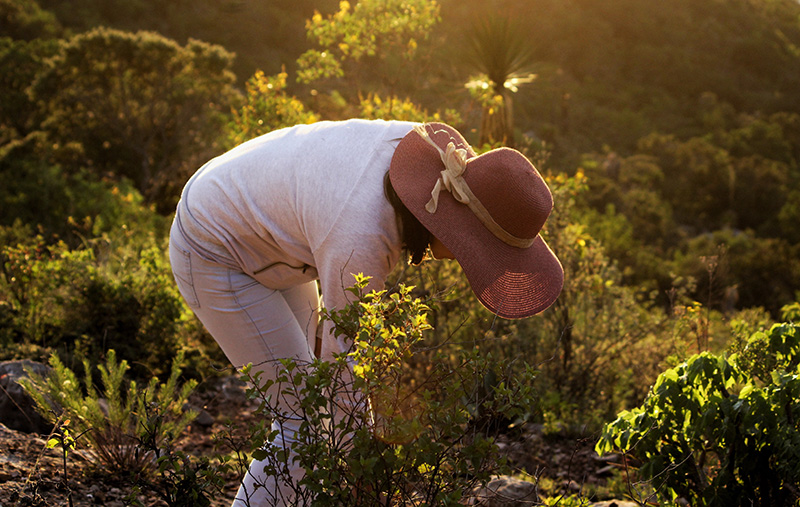 foto:José Miguel Pérez Hernández  - lo hecho en México