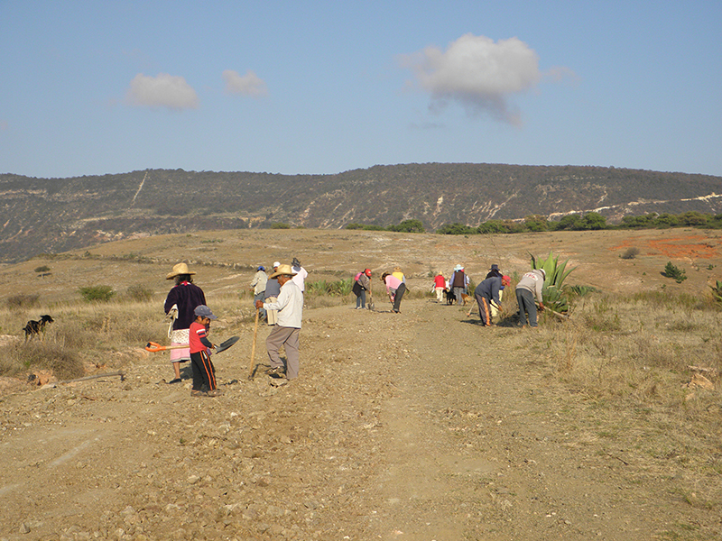 Tomás Francisco Sánchez 