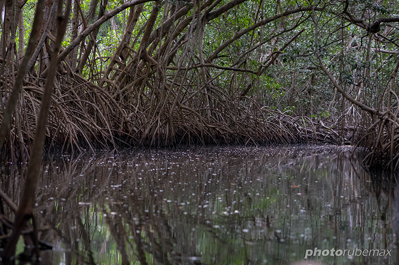 foto:RUBELIN PEREZ ROBLERO  - lo hecho en México