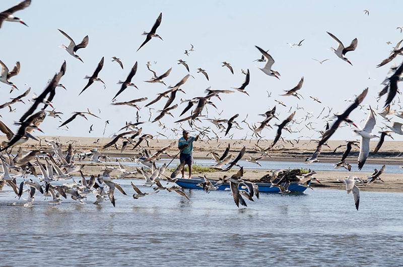 foto:JAVIER CRUZ ALVAREZ - lo hecho en México