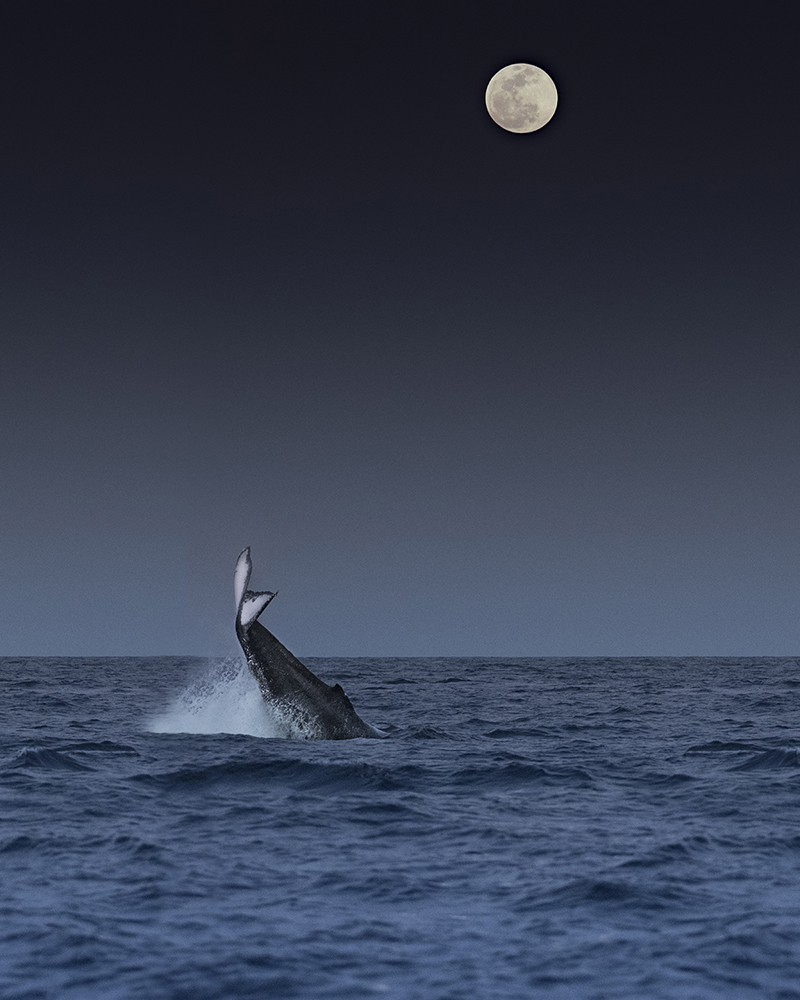 foto:Yasmin Mayella Valdivia Rodriguez - lo hecho en México