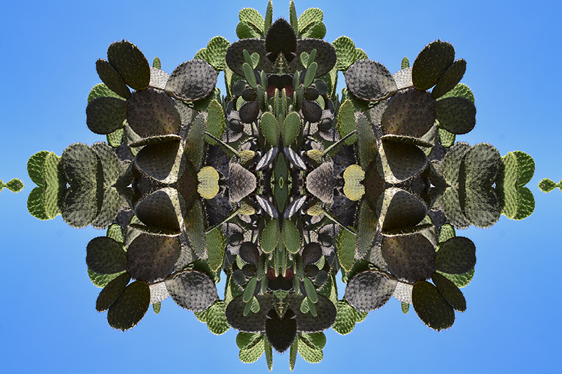 foto:Mariana García Reyes  - lo hecho en México