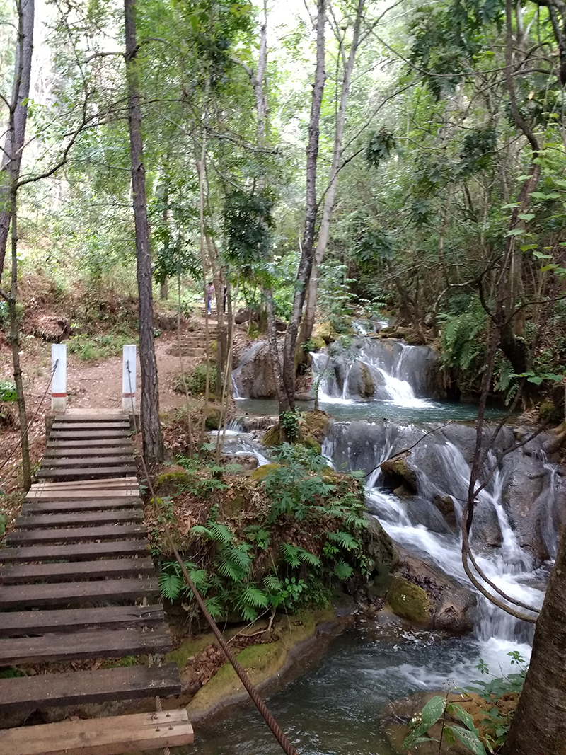 foto:FORTINO MENDOZA SANCHEZ - lo hecho en México