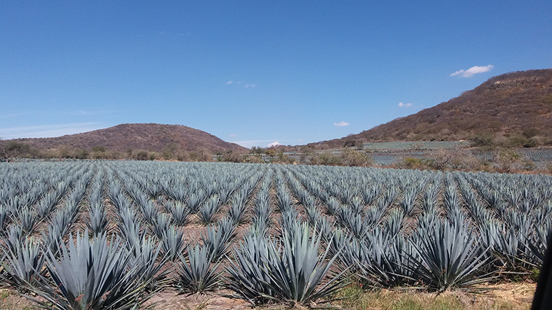 foto:María Mercedes Juárez Flores - lo hecho en México