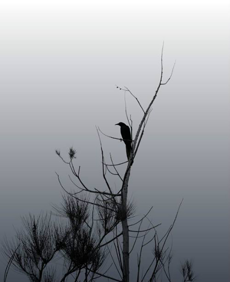 foto:Lucero Capilla China  - lo hecho en México