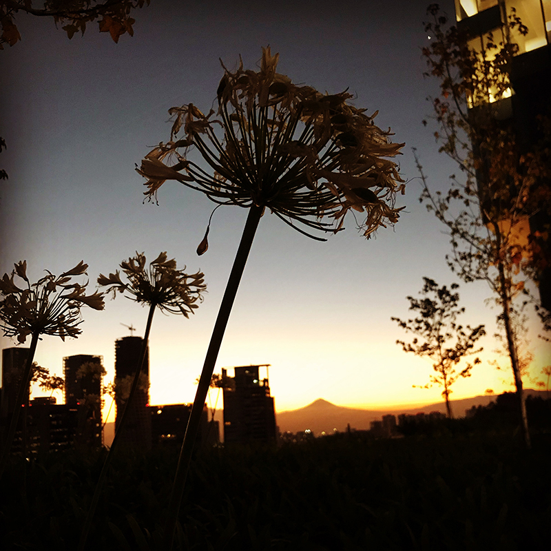 foto:Diana Ramírez Saldivar - lo hecho en México