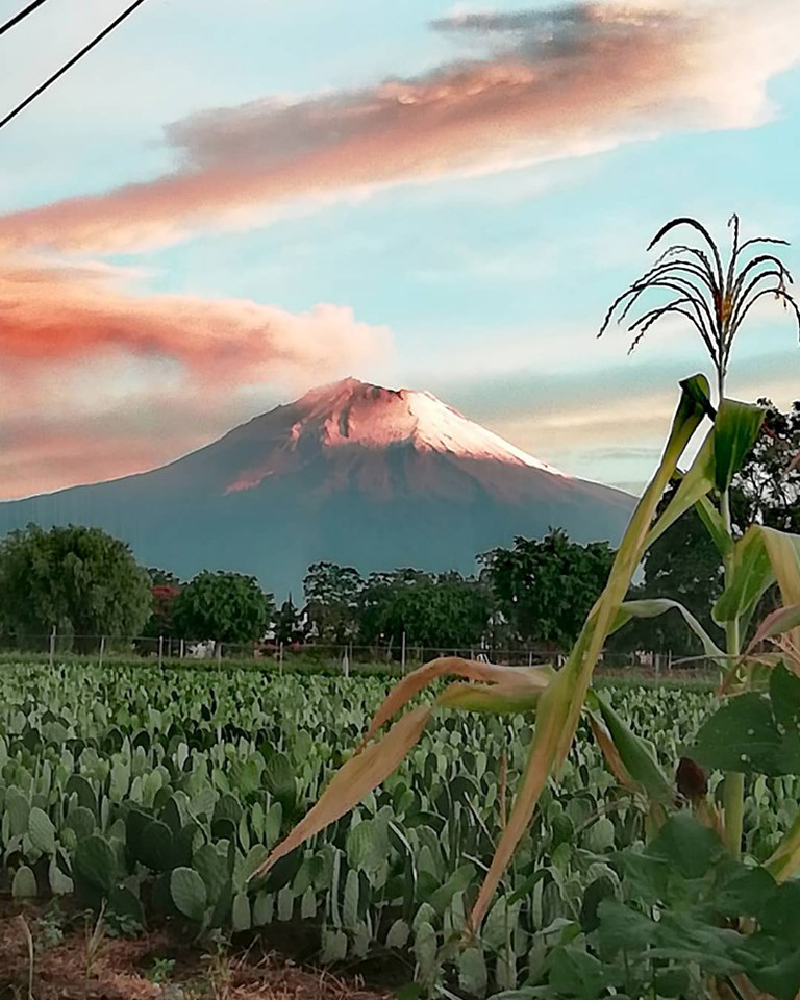 foto:Abril Gómez Torres - lo hecho en México