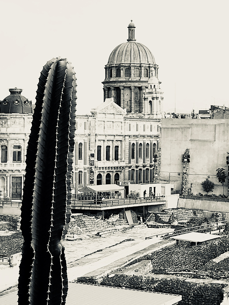 foto:Laura Erica Cruz Martínez - lo hecho en México