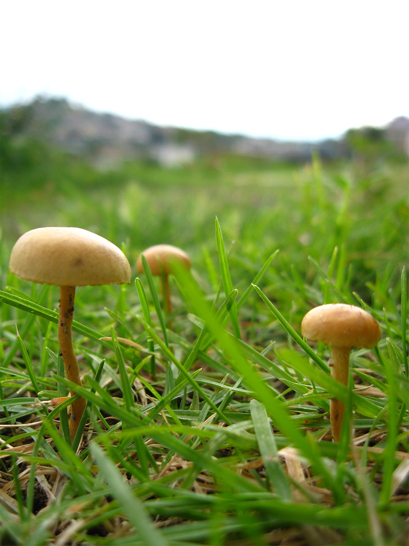 foto:Abisai De Rosas Ruiz  - lo hecho en México