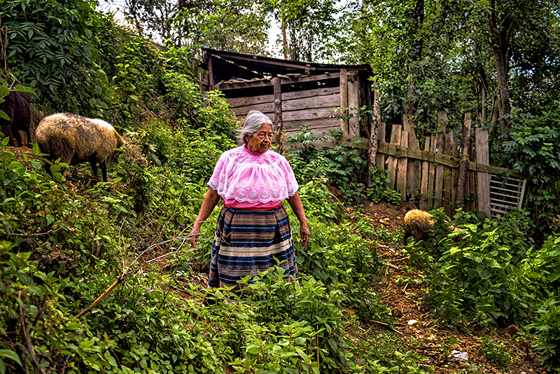 foto:Jesus Tenorio Simon - lo hecho en México