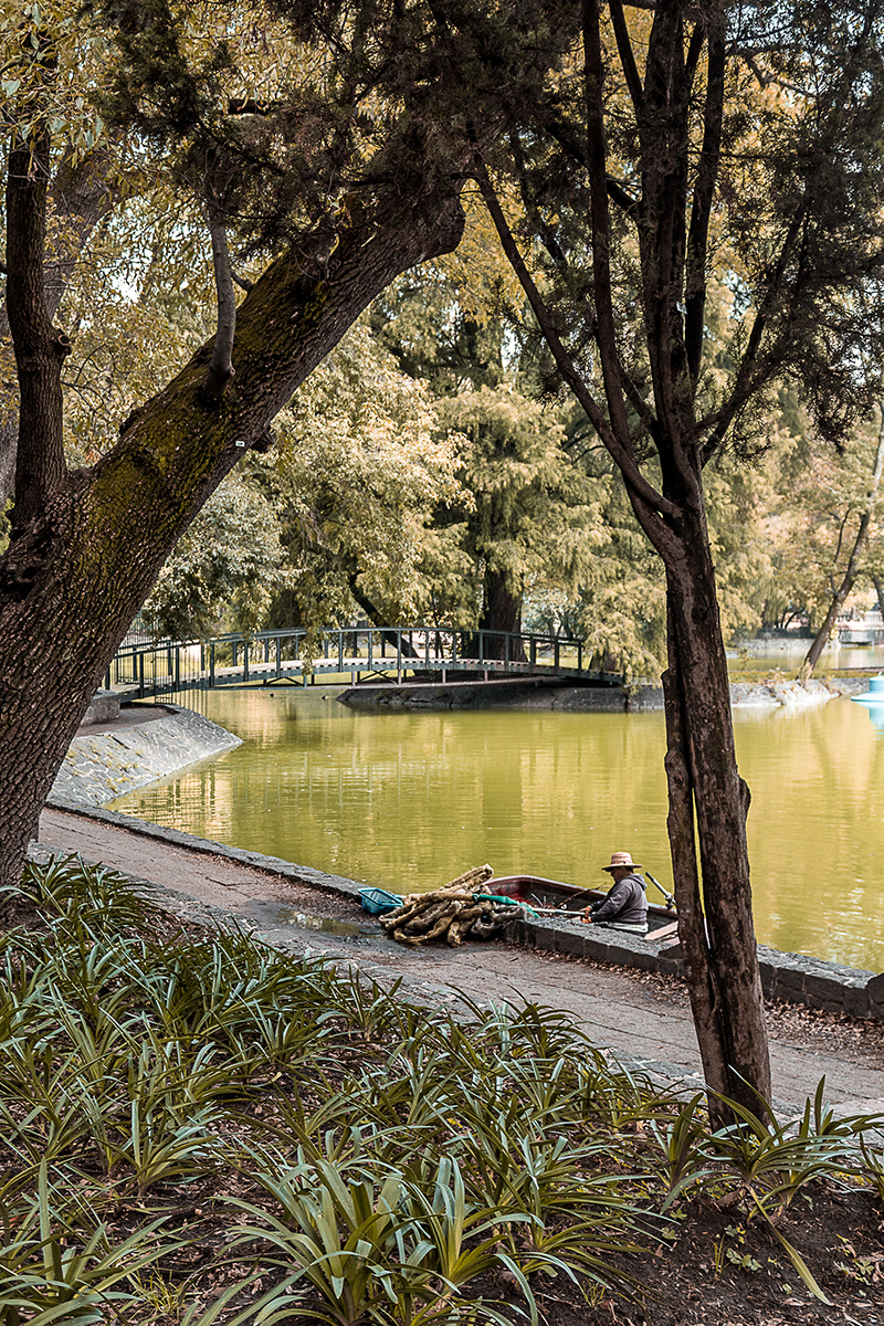 Joel Alejandro Neri Ventura 