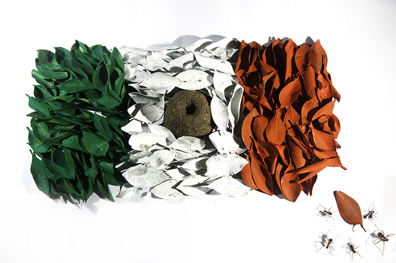 foto:adriana guadalupe muñoz guzman  - lo hecho en México