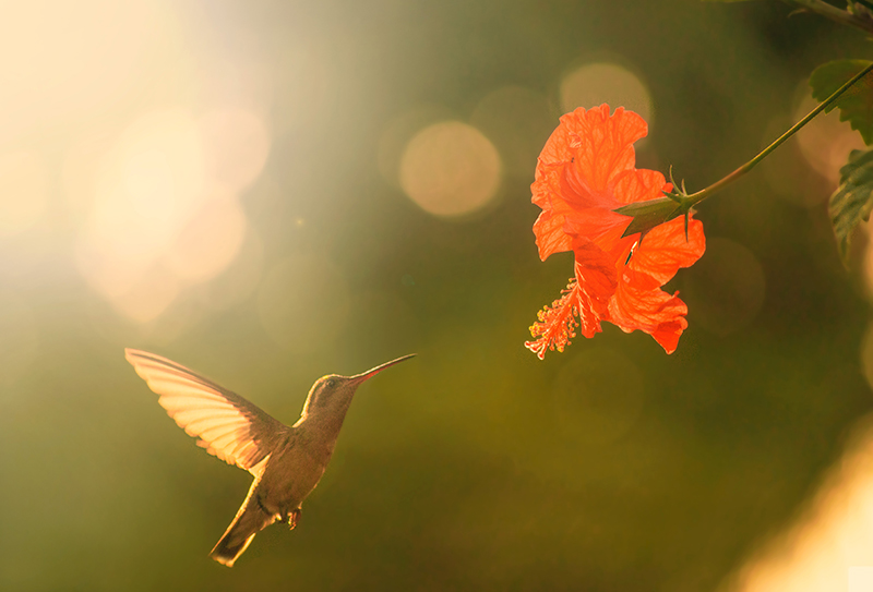 foto:Brandon Vázquez Cruz  - lo hecho en México