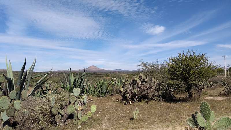 foto:Lucero Iveth olivares - lo hecho en México