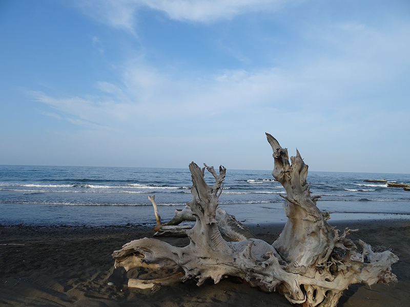 foto:José David Caballero Rodríguez - lo hecho en México