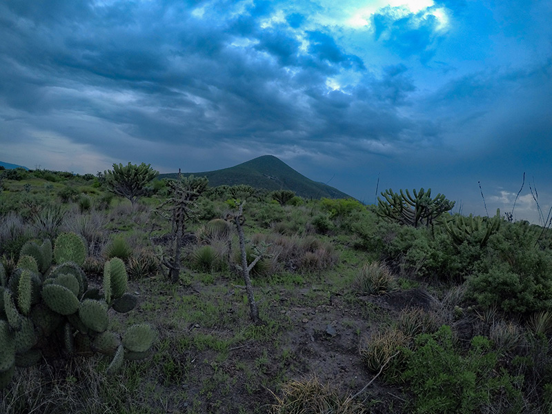 foto:Oswaldo Martin Olguin - lo hecho en México