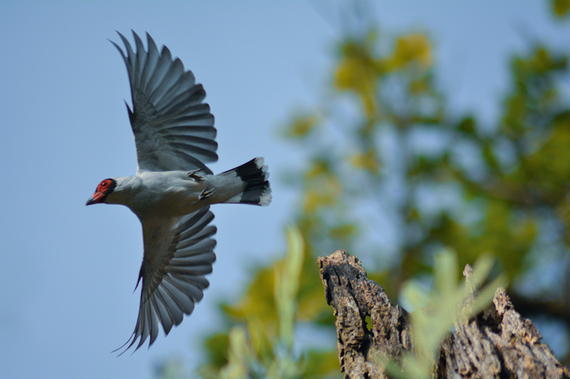 foto:Luis Enrique Vázquez Carmona  - lo hecho en México