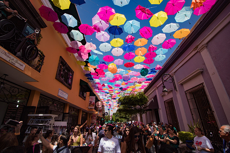 foto:Martin Contreras Soto - lo hecho en México