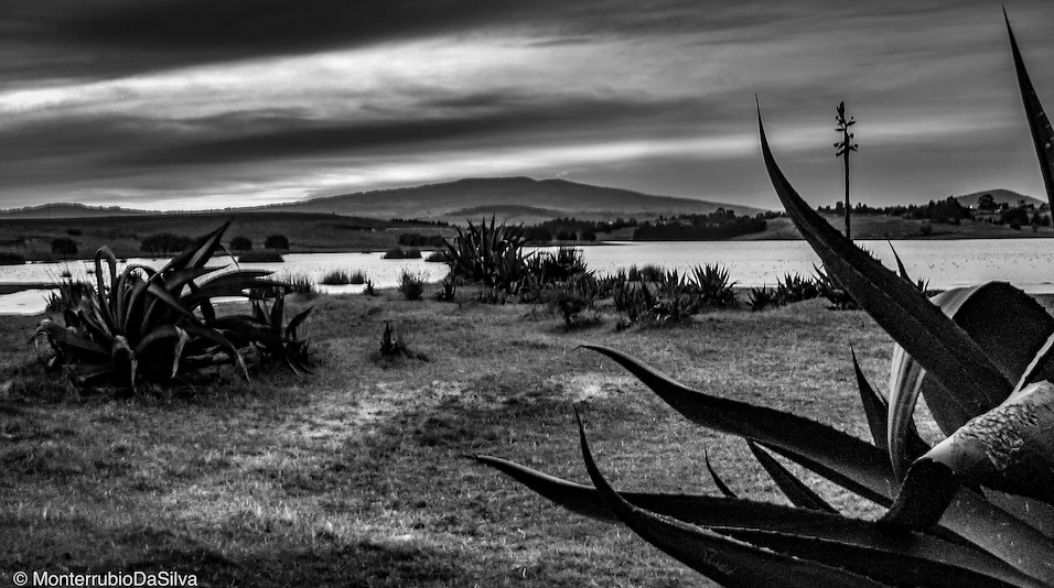 foto:Mauricio Celis Monterrubio  - lo hecho en México