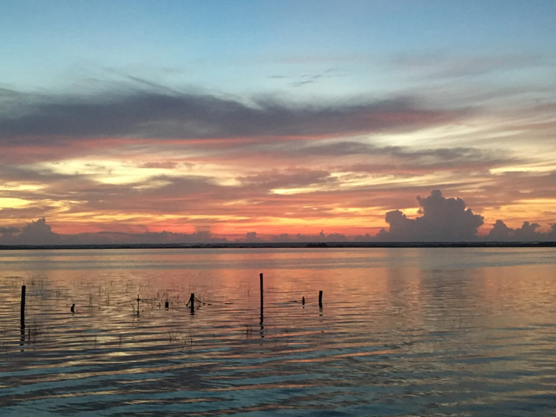 foto:Areli D. Mendez Arreguin - lo hecho en México