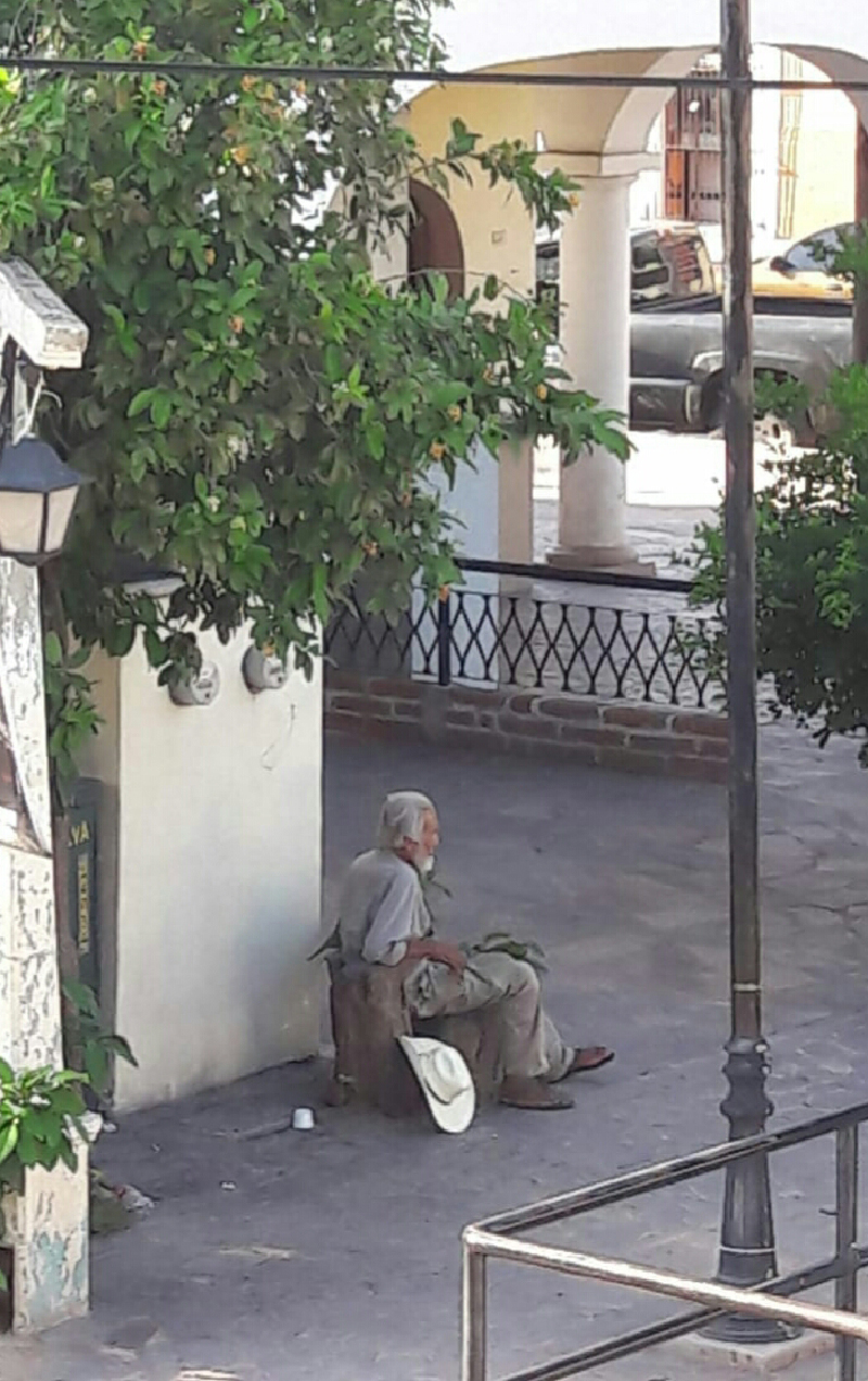 foto:Maria del Carmen Rochin Mercado - lo hecho en México