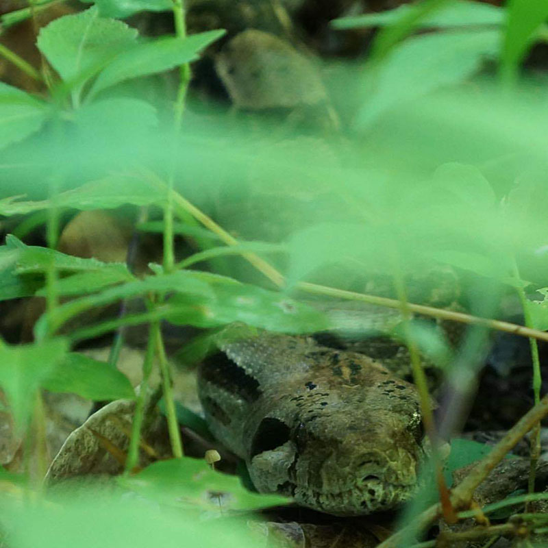 foto:Esaú Soriano Gerón   - lo hecho en México