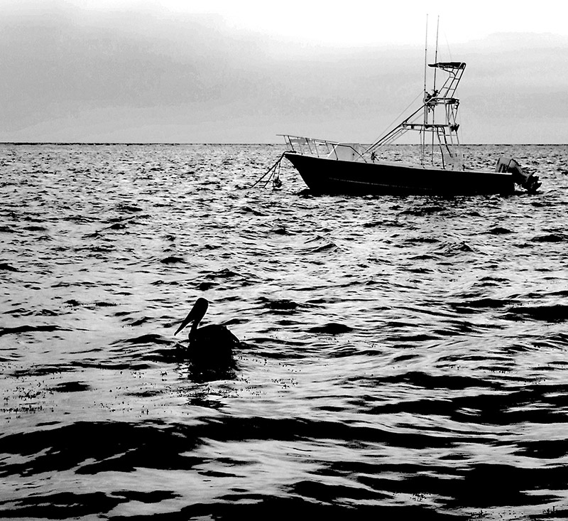 foto:edwin martinez ibarra  - lo hecho en México