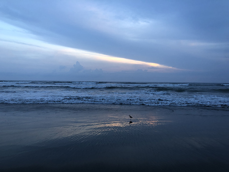 foto:Ronit Ana Cohen Content - lo hecho en México