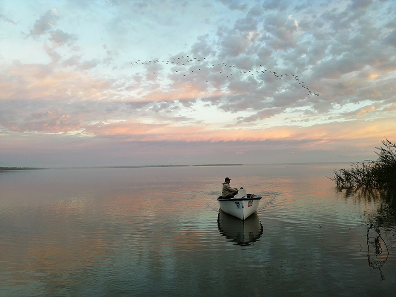 foto:Jorge Ernesto Lopez Vega  - lo hecho en México