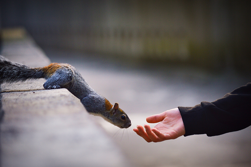 foto:Ahtziri Guadalupe Lomeli Mancilla  - lo hecho en México