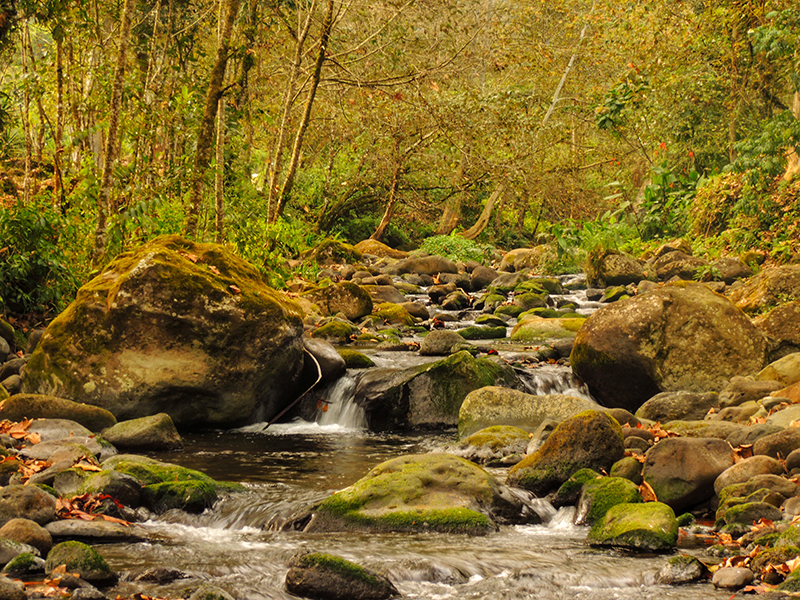 foto:Jorge Natanael Dominguez Sabido  - lo hecho en México
