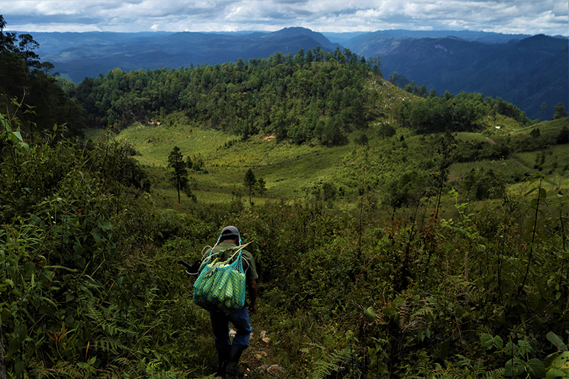 Hector Plascencia Díaz 