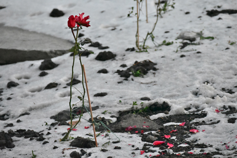 foto:Marina Guadalupe Vázquez Segura  - lo hecho en México