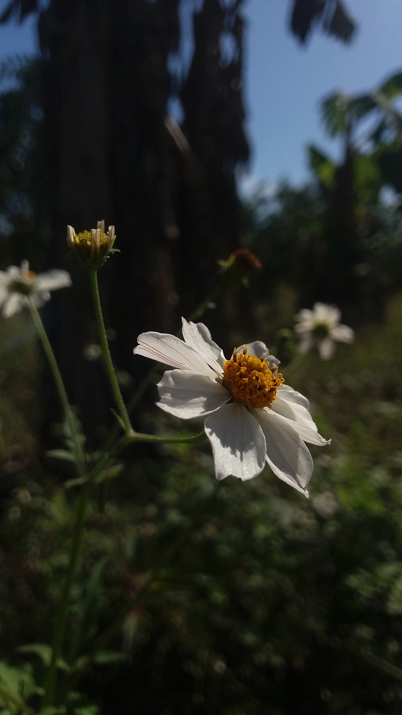 foto:Diego Jesús tapia cruz   - lo hecho en México