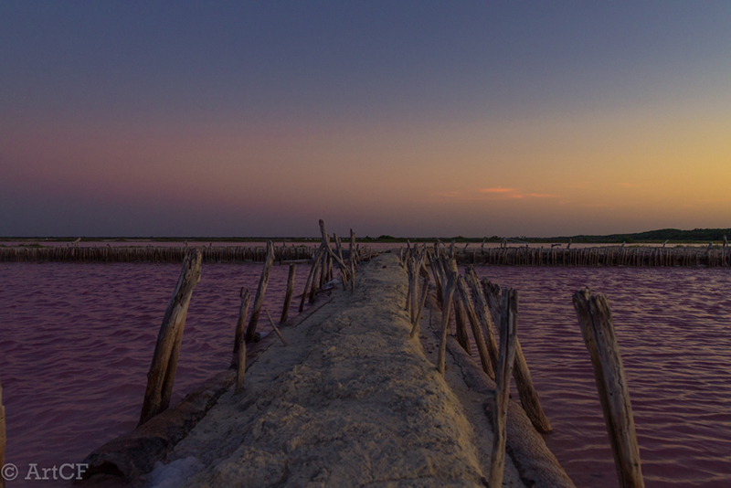 foto:ARTURO JESUS CASTILLO FARFAN  - lo hecho en México