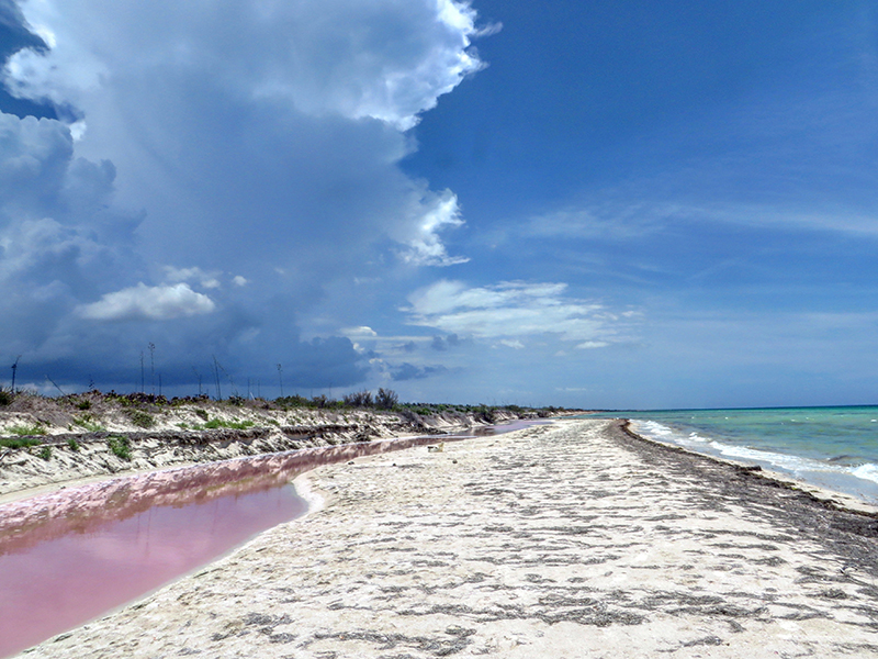 foto:Damaris Eunice coatl coyotl - lo hecho en México