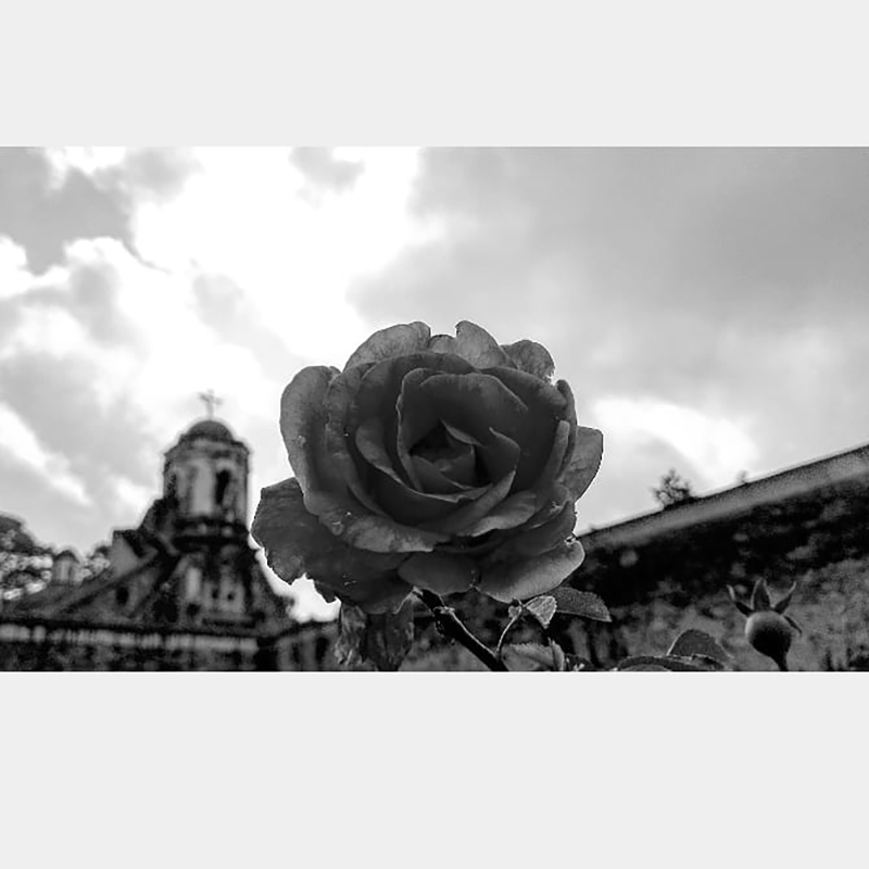 foto:Alondra De la Rosa Baltazar  - lo hecho en México