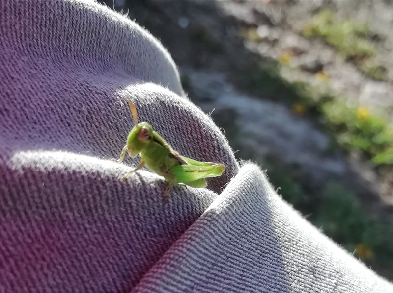 foto:Erika Gabriela García Gómez  - lo hecho en México