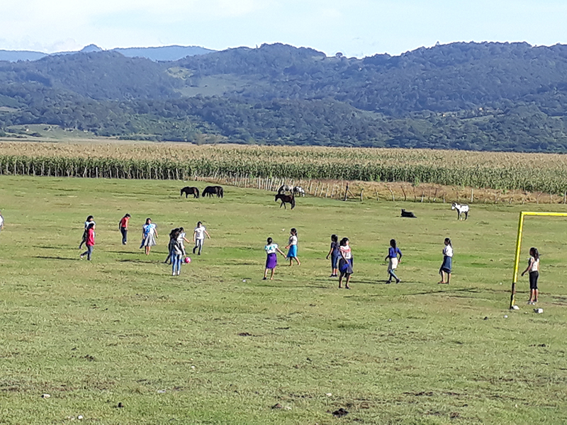 foto:Felipe de Jesús Ramírez Mota  - lo hecho en México