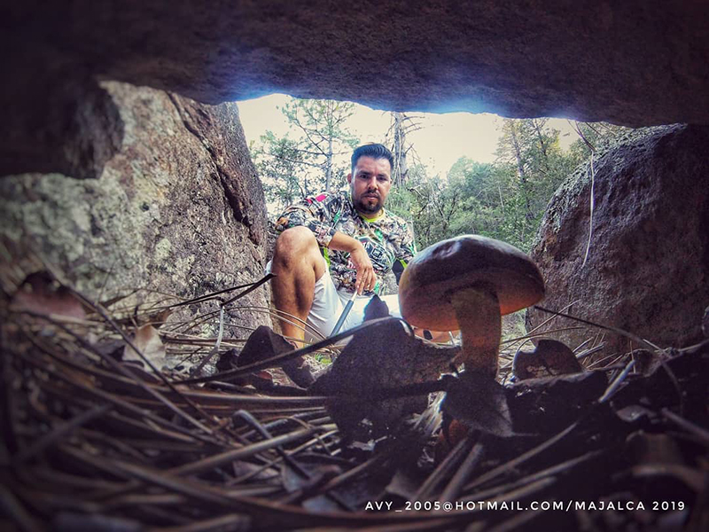 foto:Avid Ammsel Gonzalez Rodriguez  - lo hecho en México