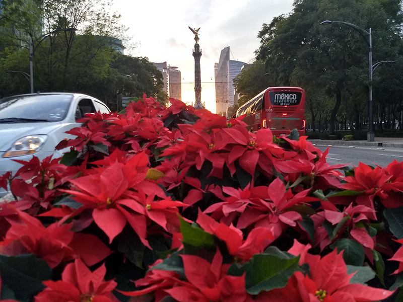 foto:Mauricio Borja Pérez - lo hecho en México