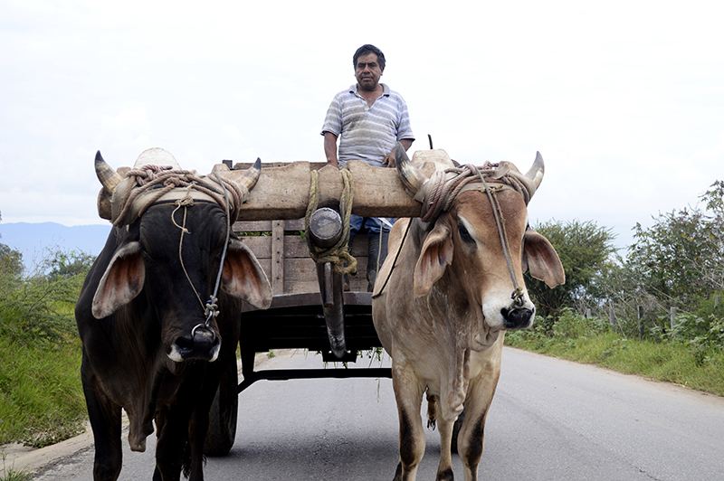 foto:José María Hermida Castro  - lo hecho en México