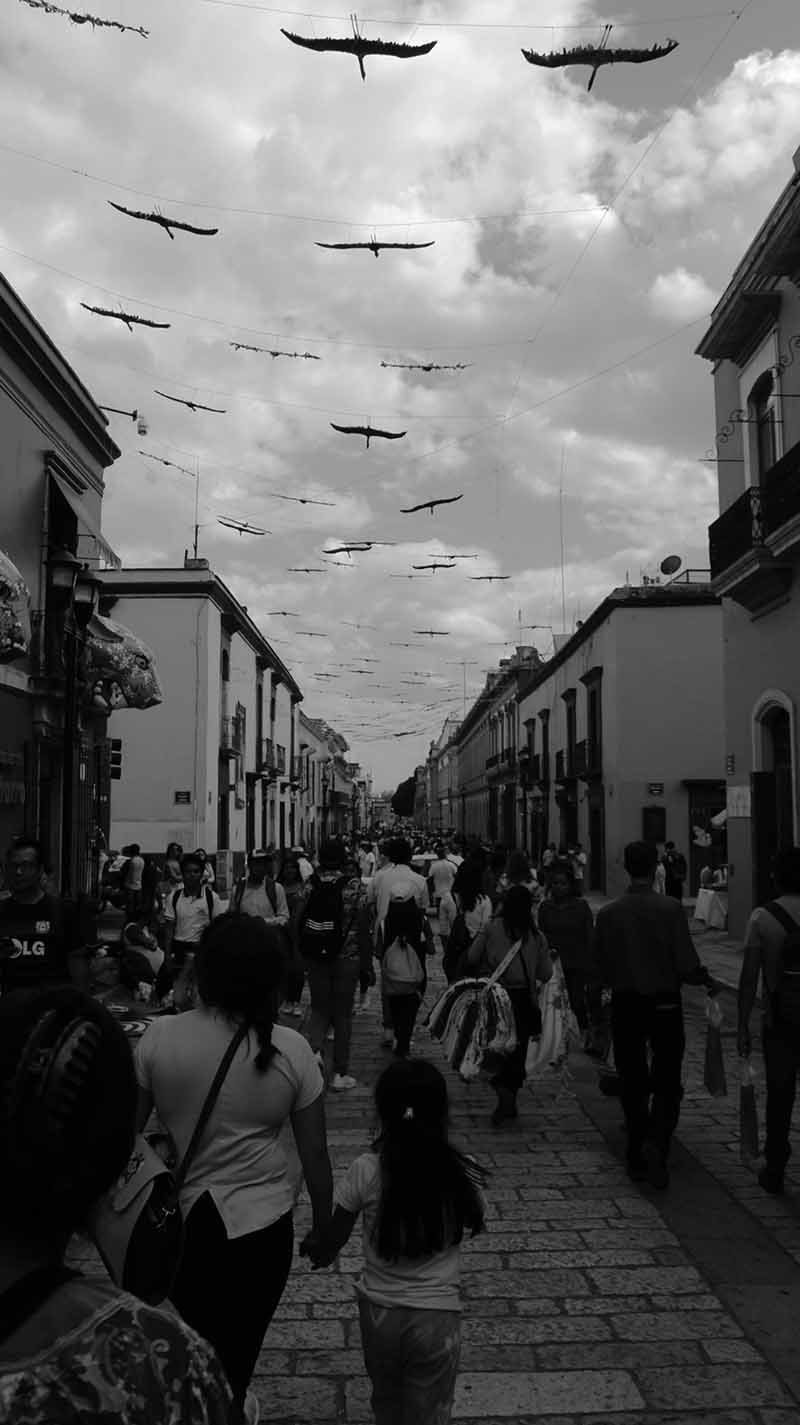 foto:Fernando Maganda - lo hecho en México