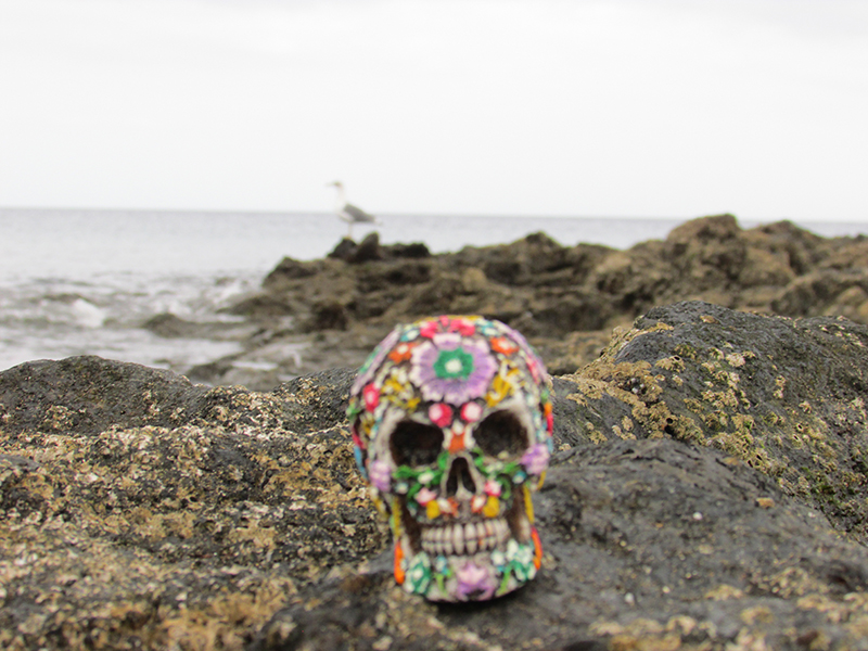 luis eduar martinon lopez 