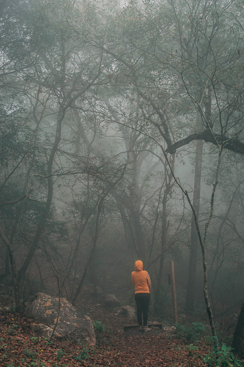 foto:Nadia Briseida Lozano González - lo hecho en México