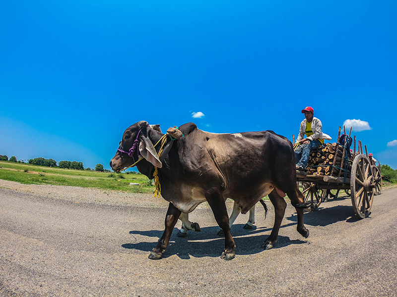foto:Daniel Morales Gallegos - lo hecho en México