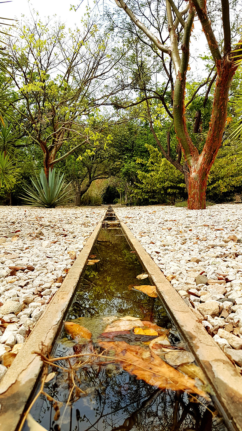 foto:Carlos Yahir Meinders Garza  - lo hecho en México