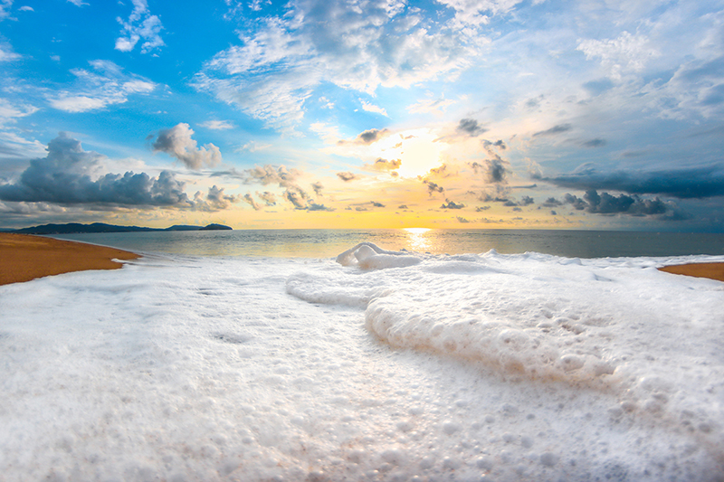 foto:Francisco Javier Gómez Pérez  - lo hecho en México