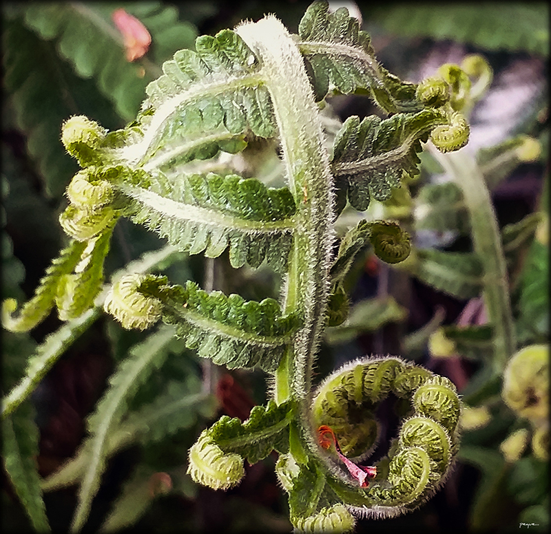 foto:José luis alvarez sánchez  - lo hecho en México