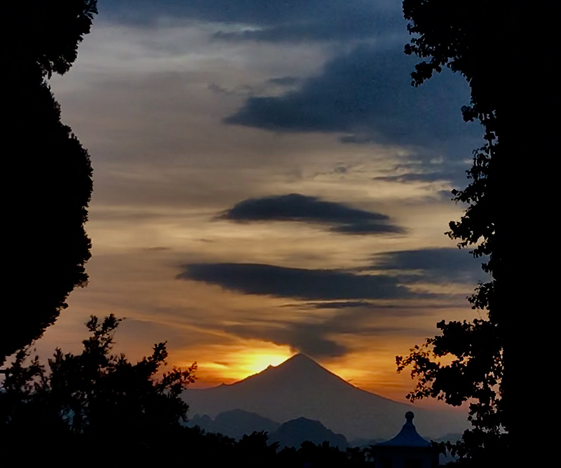 foto:Sylvia Martina Gonzalez Elger  - lo hecho en México
